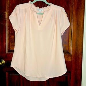 Light pink blouse. Short sleeve. 41 Hawthorn. Stitch Fix.
